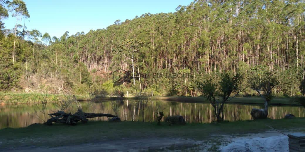 sitio-venda-alfredo-chaves-914593