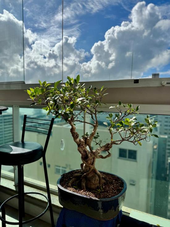 apartamento-venda-itapua-vila-velha-1031554