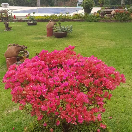 sitio-venda-marechal-floriano-934506