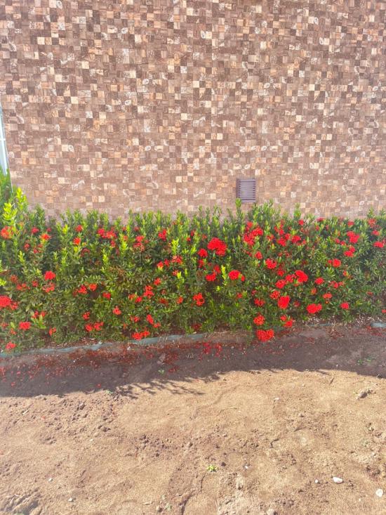 apartamento-venda-guriri-norte-do-estado-1068850